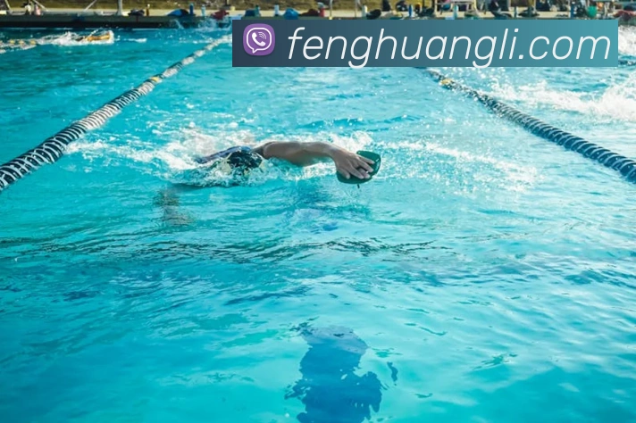 对战数据统计